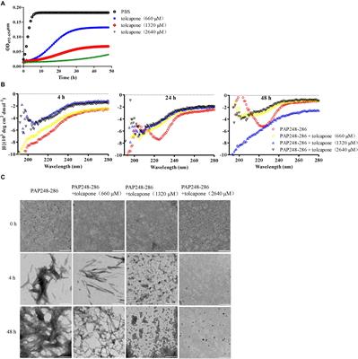 Tolcapone Potently Inhibits Seminal Amyloid Fibrils Formation and Blocks Entry of Ebola Pseudoviruses